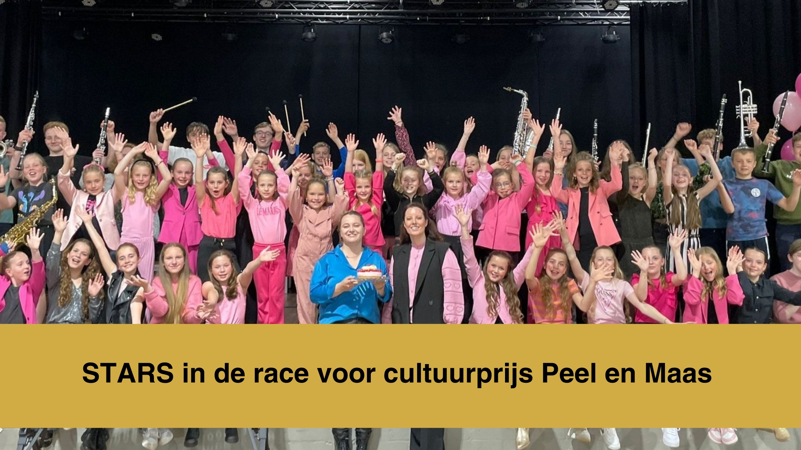 Cultuurprijs Peel en Maas | STARS